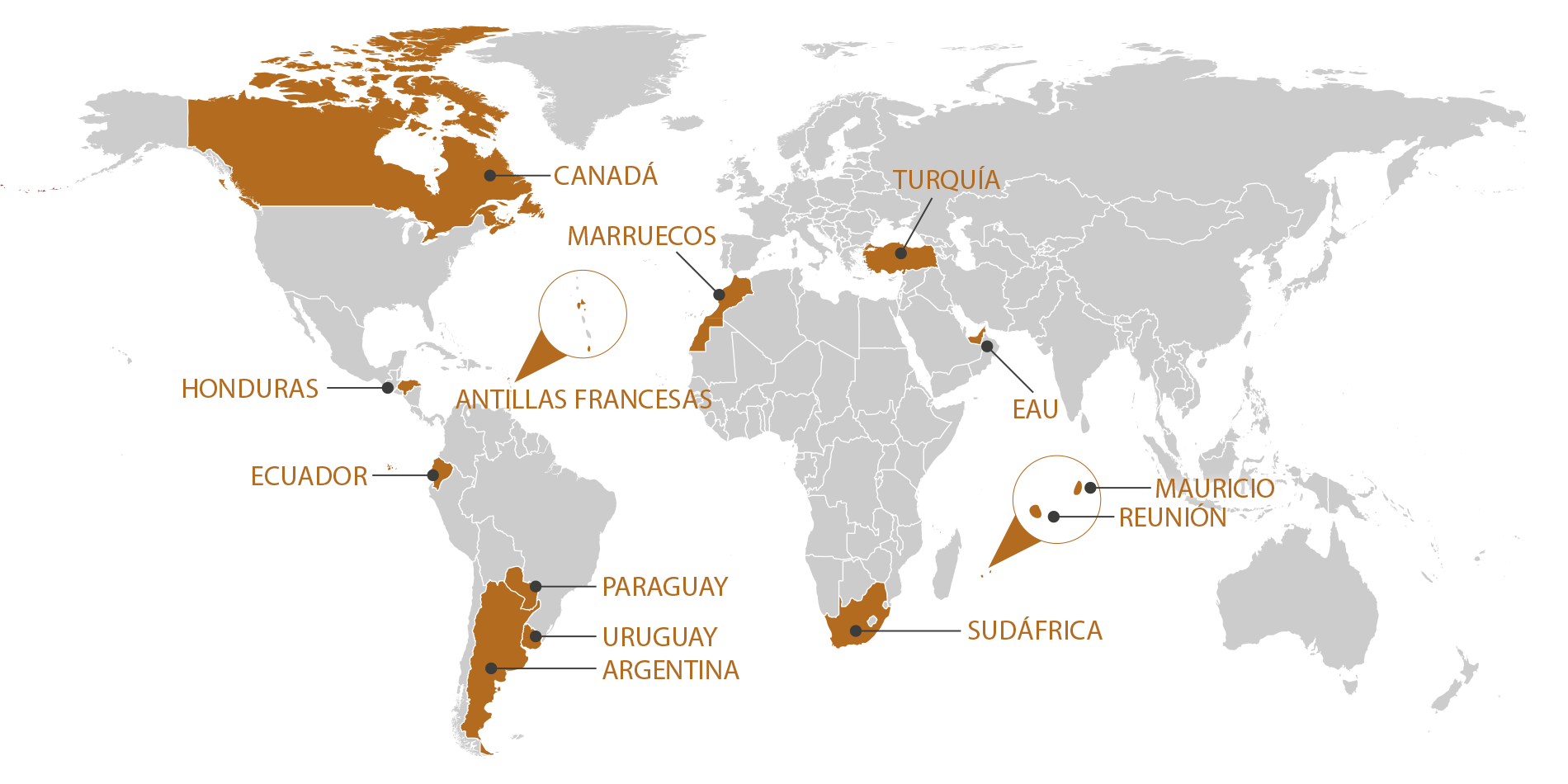 RGIS_FRANCHISE_WORLD_ES_1125. RGIS Franchise